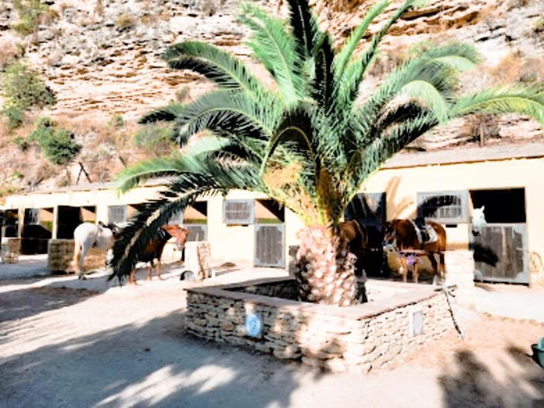 Hacienda Puerto De Las Muelas Ronda Exterior photo